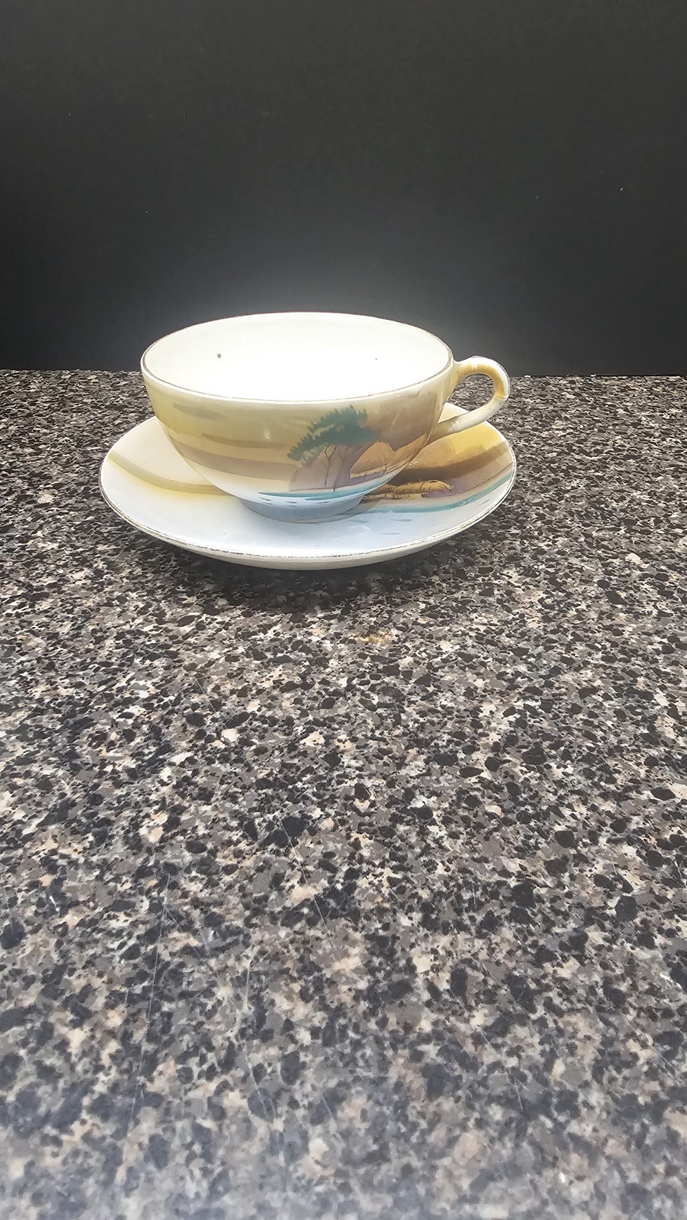 Vintage hand painted Japanese tea cup and saucer