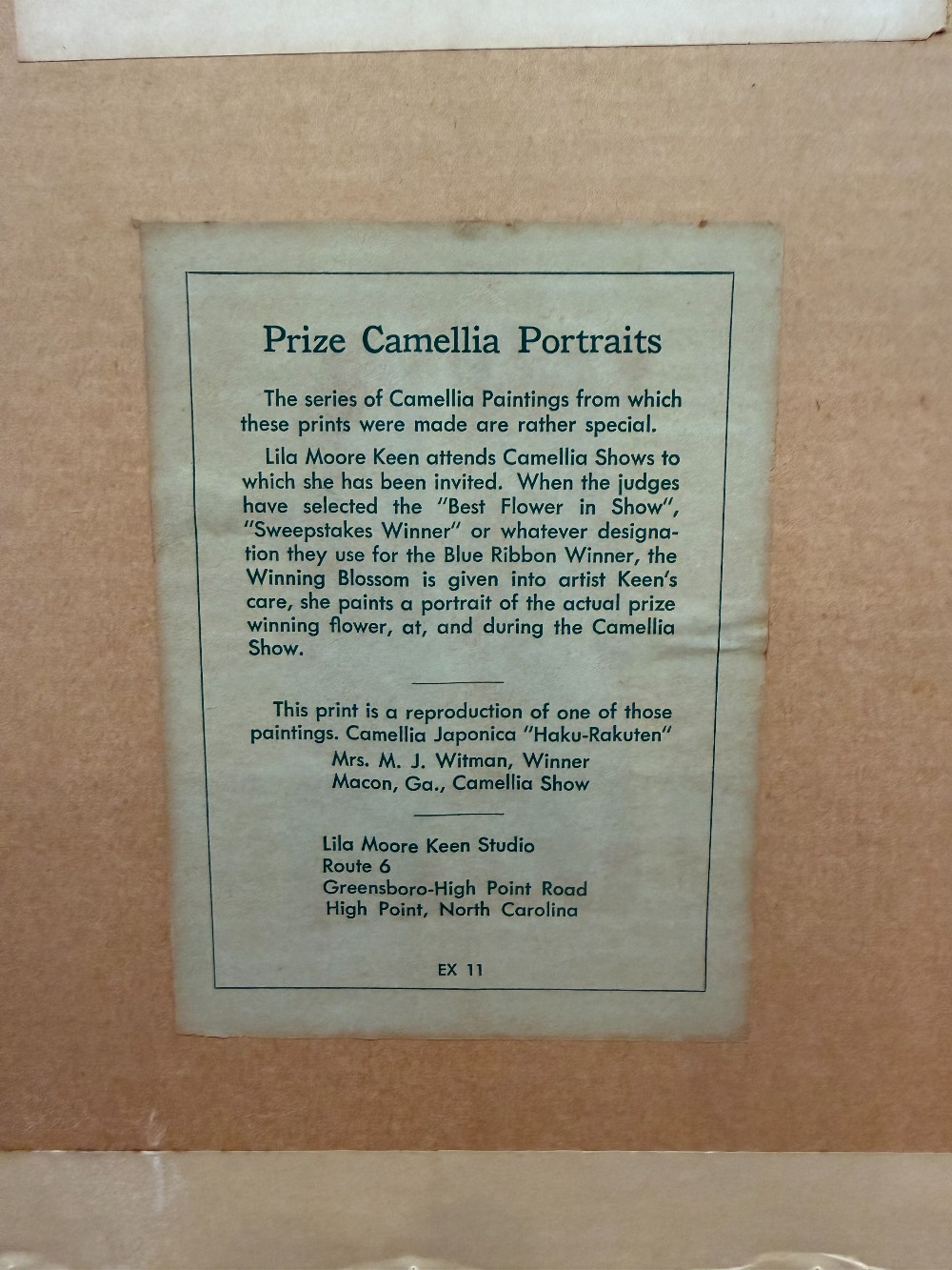 Vtg. Framed Lila Moore Keen Camellia Botanical Print
