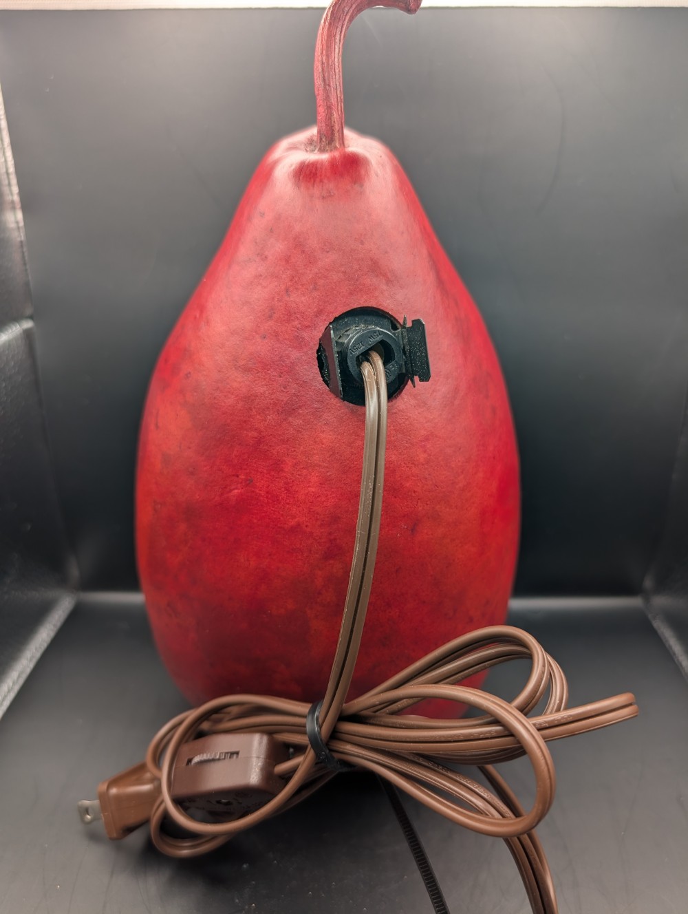 Handmade nativity gourd light