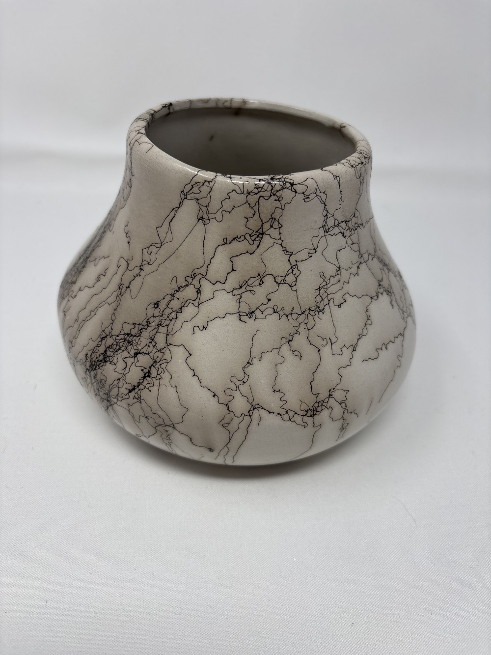 SignedNavajo Horse Hair Pottery Vase