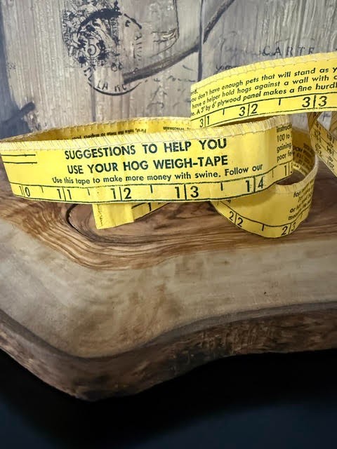 1960 Farm Hog Tape Measure Pig Swine Boar Sow Farmer