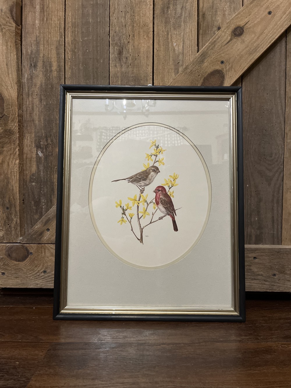 Vtg “Scarlet Grosbeak” print