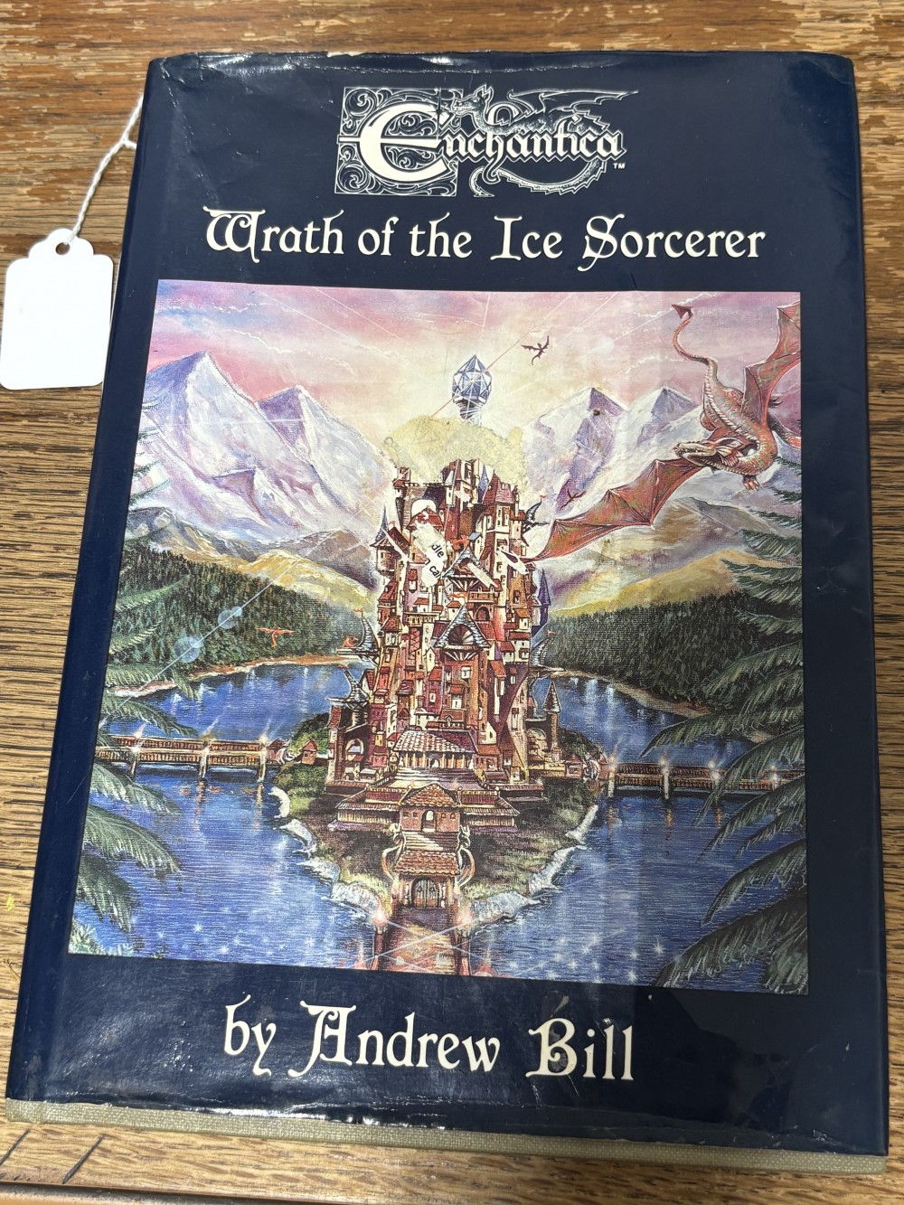 Enchantica: Wrath of the Ice Sorcerer by Andrew Bill 1988 First Edition Hardcover