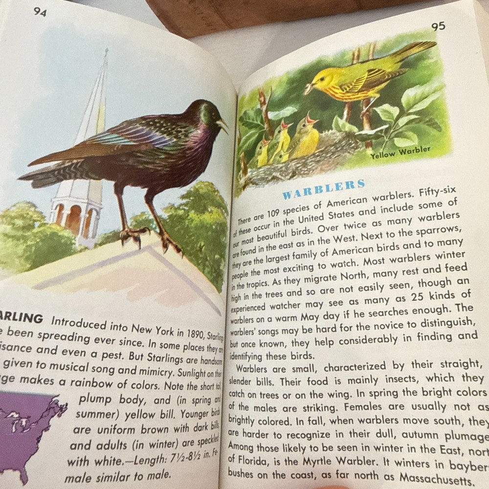 Golden Guide Birds – Vintage Pocket Guide