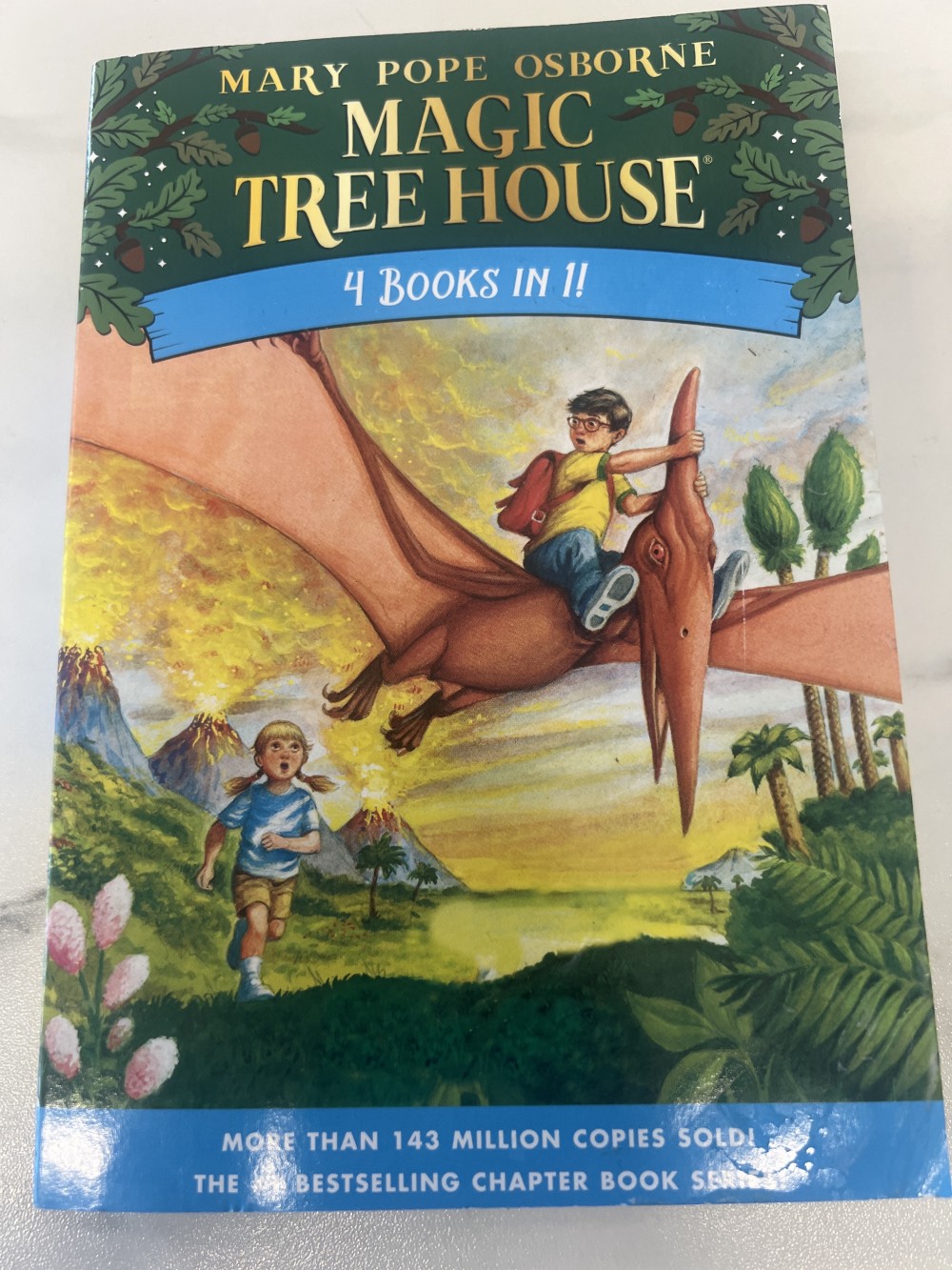 Magic treehouse four books in one