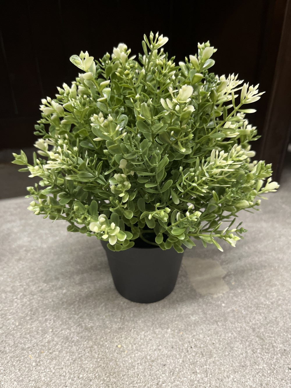 Potted faux plant - green & white
