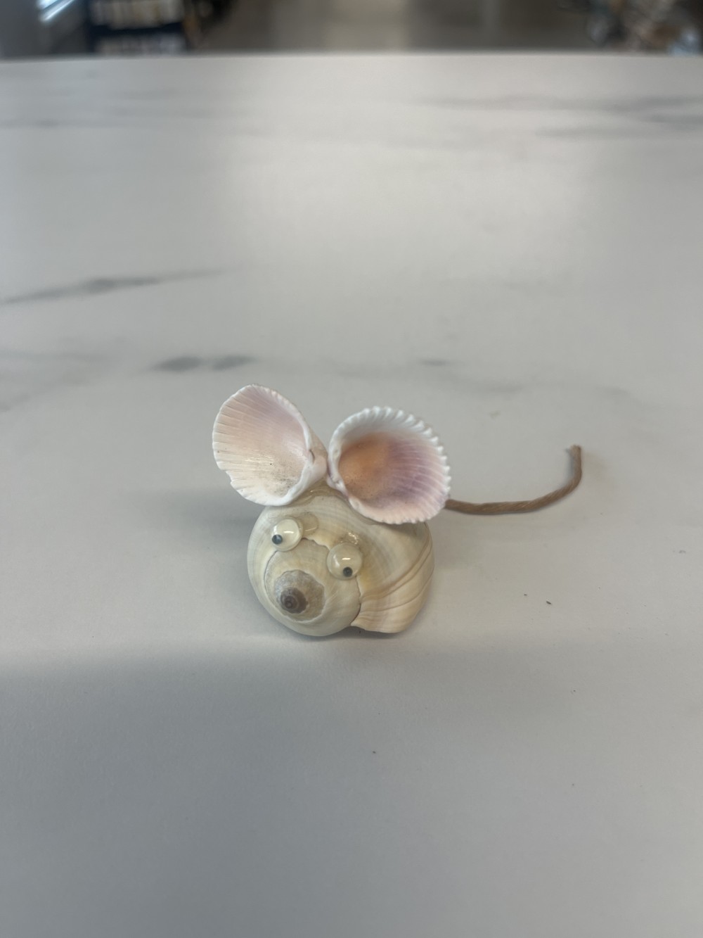 Seashell mouse