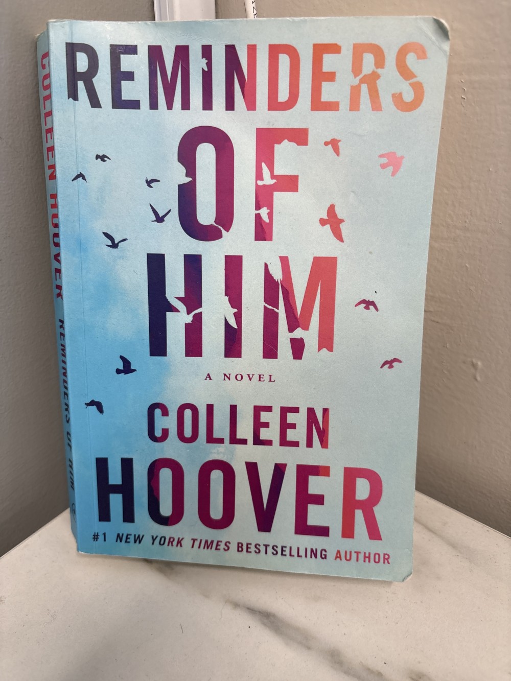 Colleen Hoover Reminders of Him Book