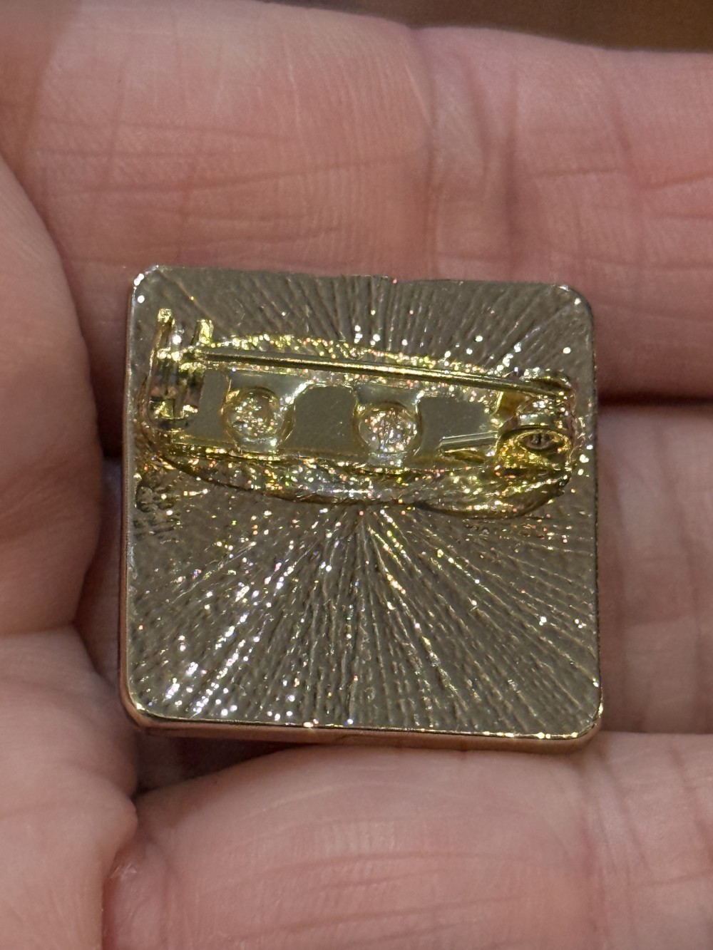 Brooch Pin - Gold Medallion with If You've got it haunt it with a spider and roses