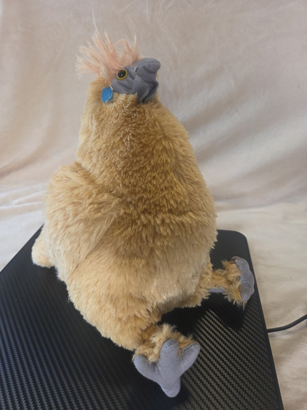 Adore Fluffy the Silkie Chicken