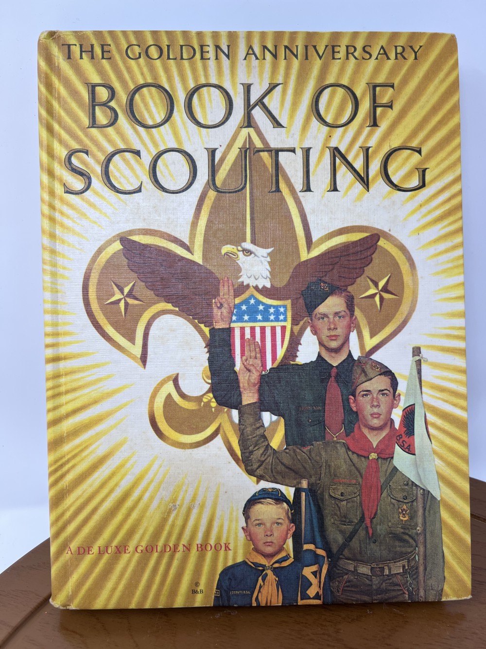 Vintage Book of Scouting