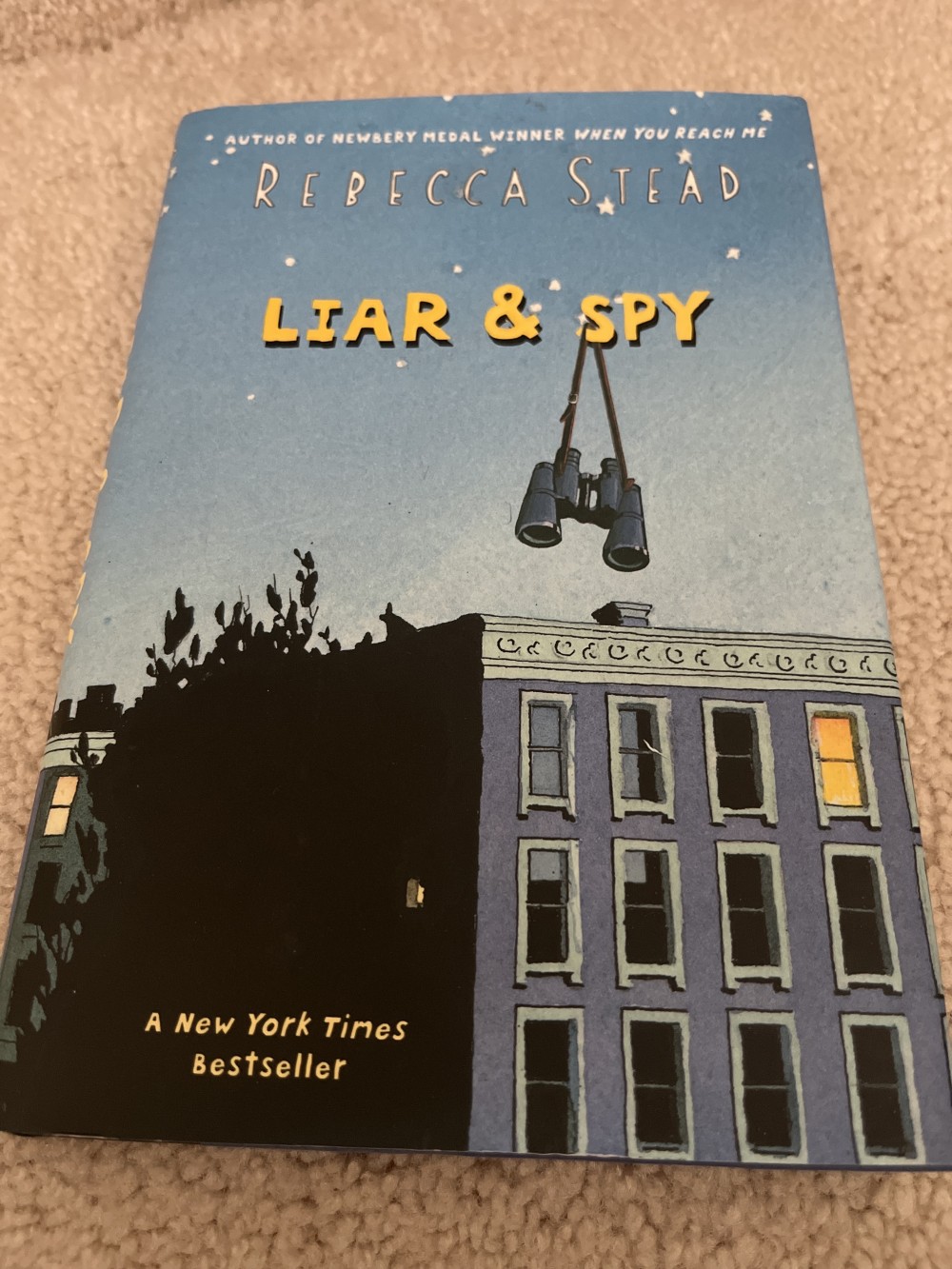 Hardback Book “Liar & Spy”