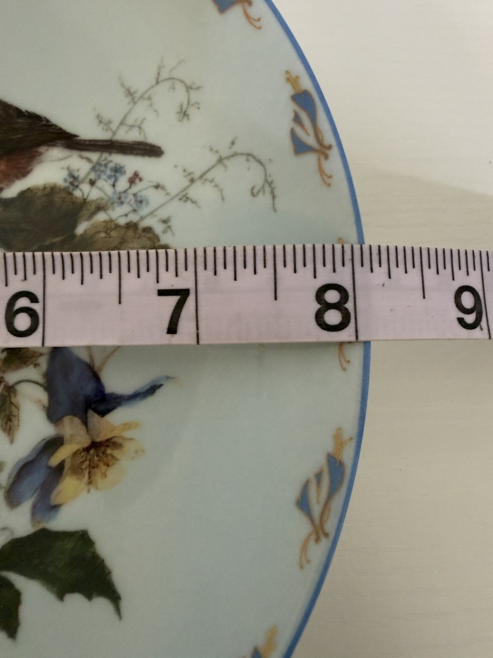 Bird & Floral Decorative Plate w/ hook