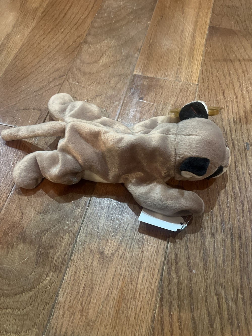 Canyon Beanie Baby