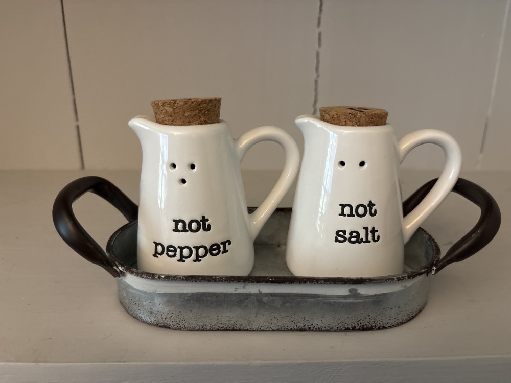 Mud Pie “Not Pepper Not Salt” S & P Shaker Set