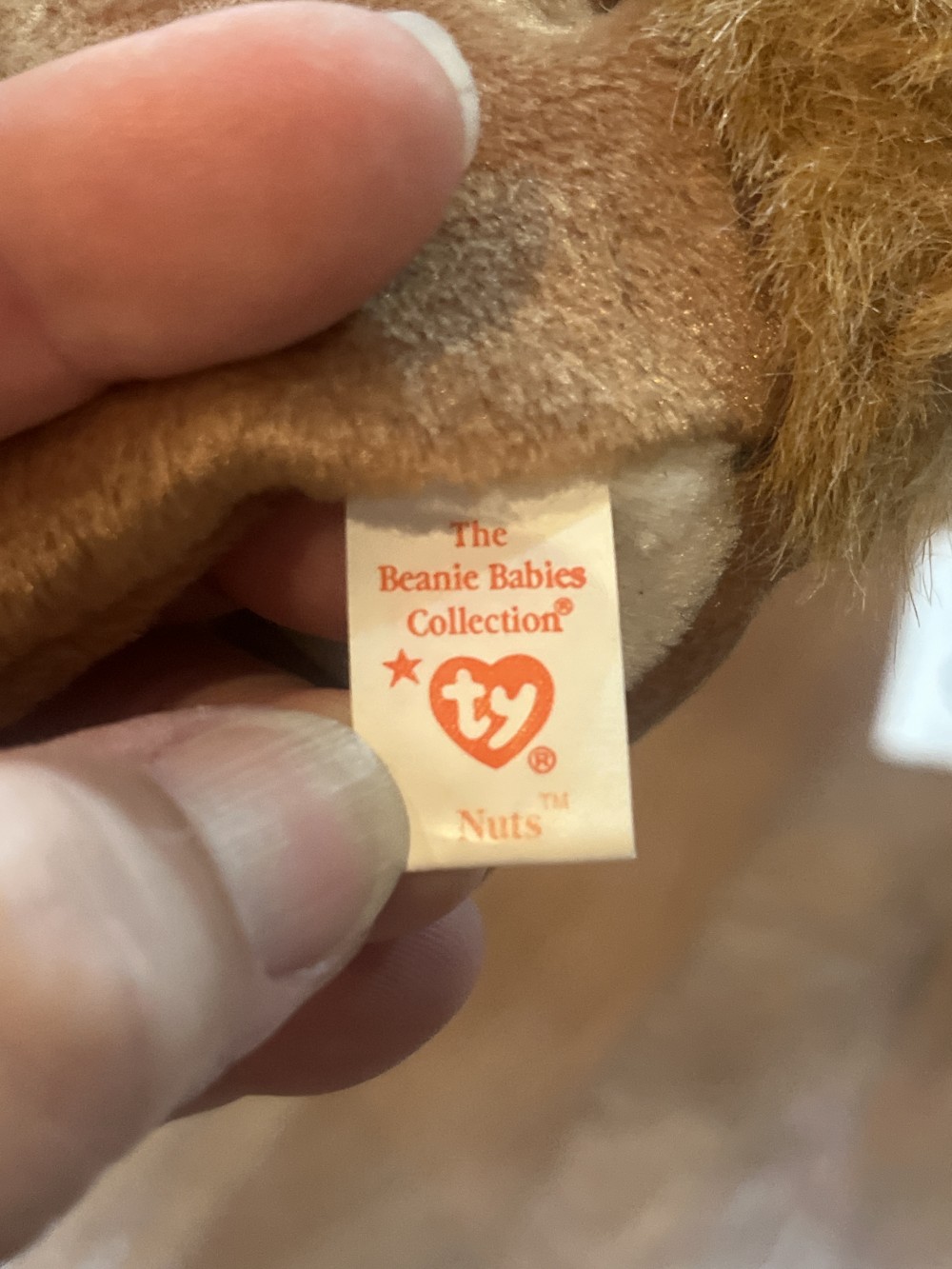 Nuts Beanie Baby