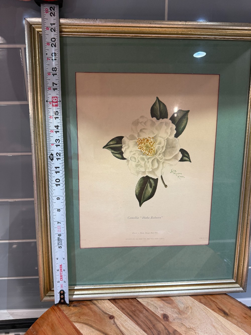 Vtg. Framed Lila Moore Keen Camellia Botanical Print