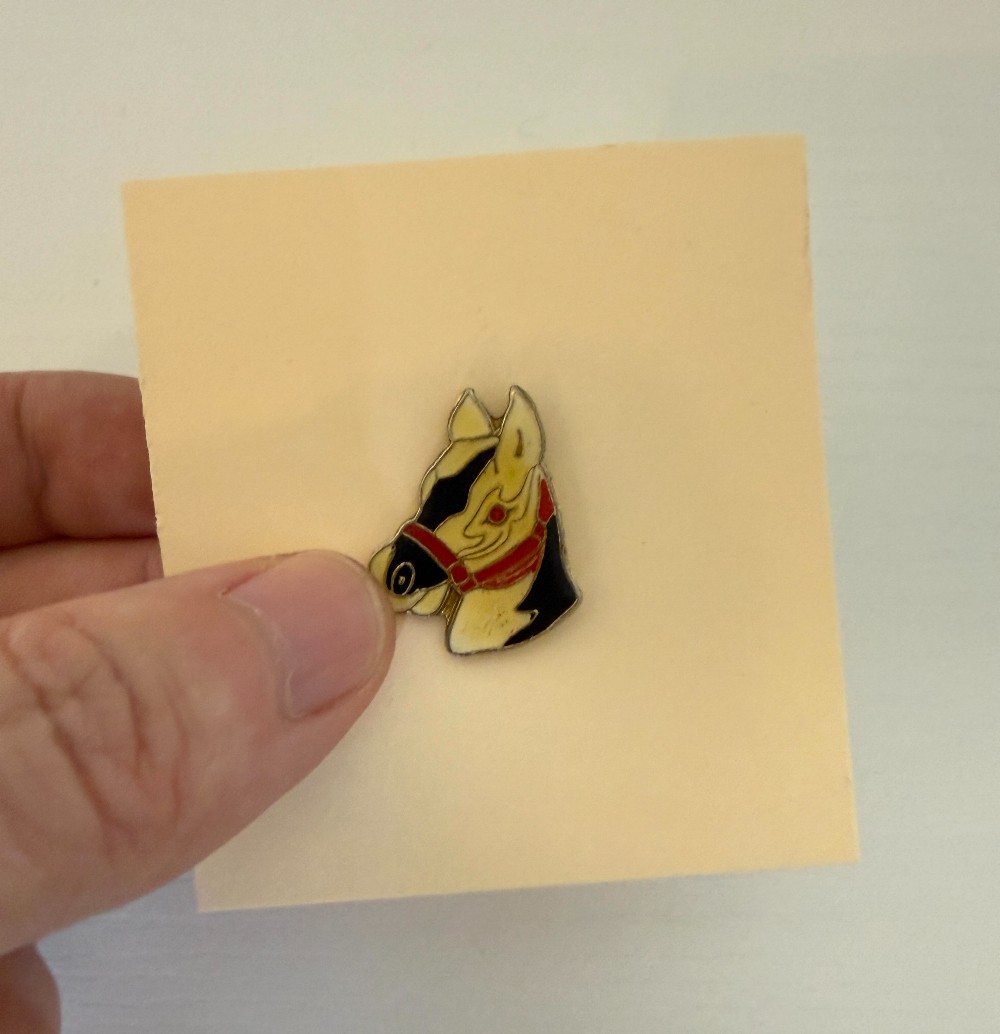 Horse Head Enamel pin