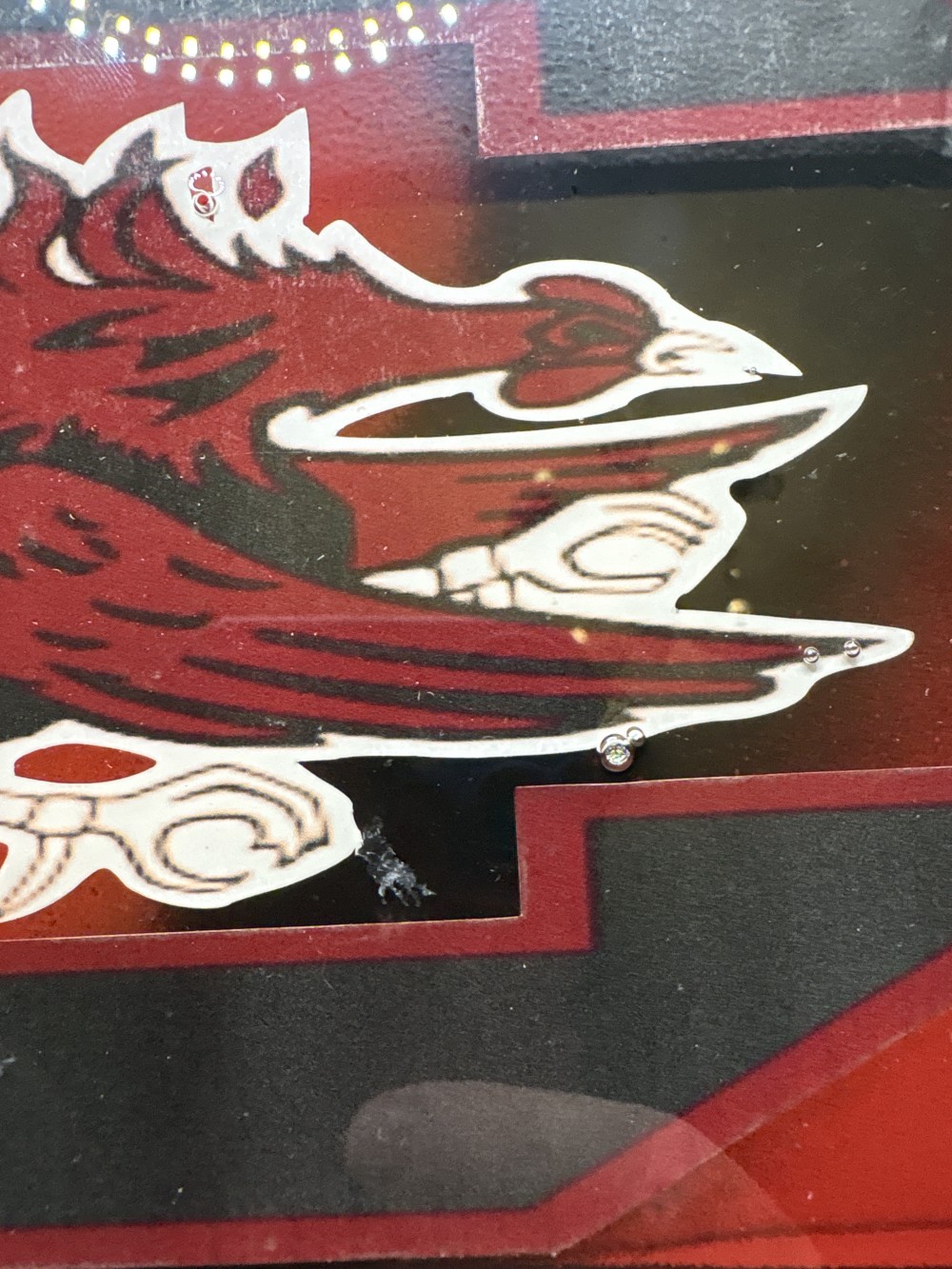 USC Gamecock Custom Tray 8 x 11 Plastic As-is