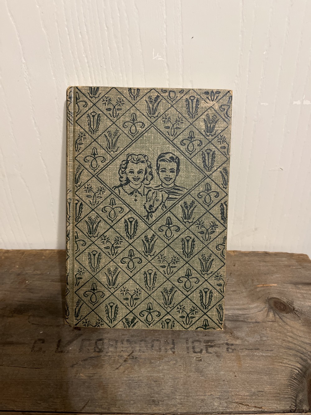 1938 Bobbsey Twins book