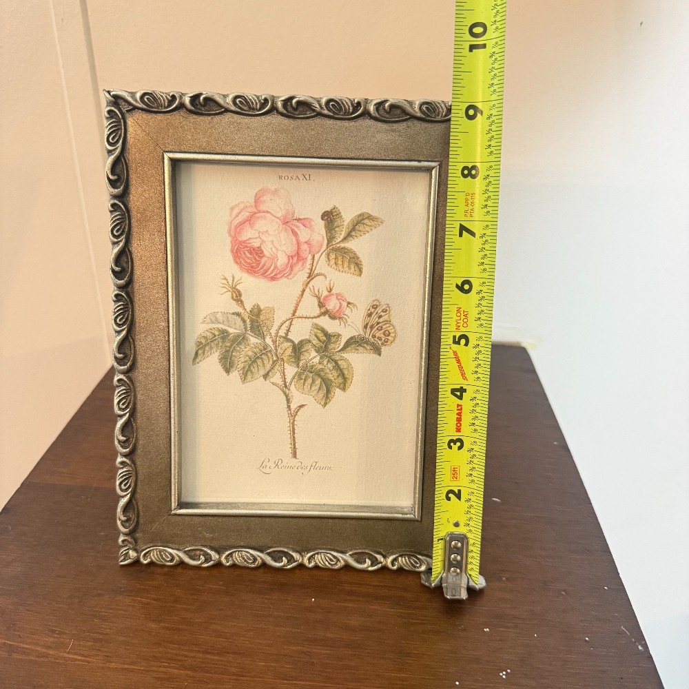 Silver Scroll Frame with Botanical Rose Print