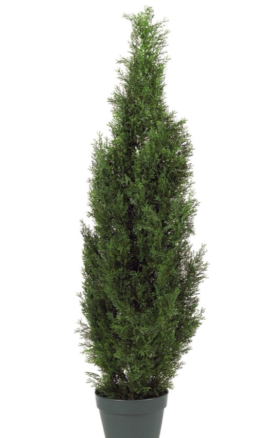 Topiary