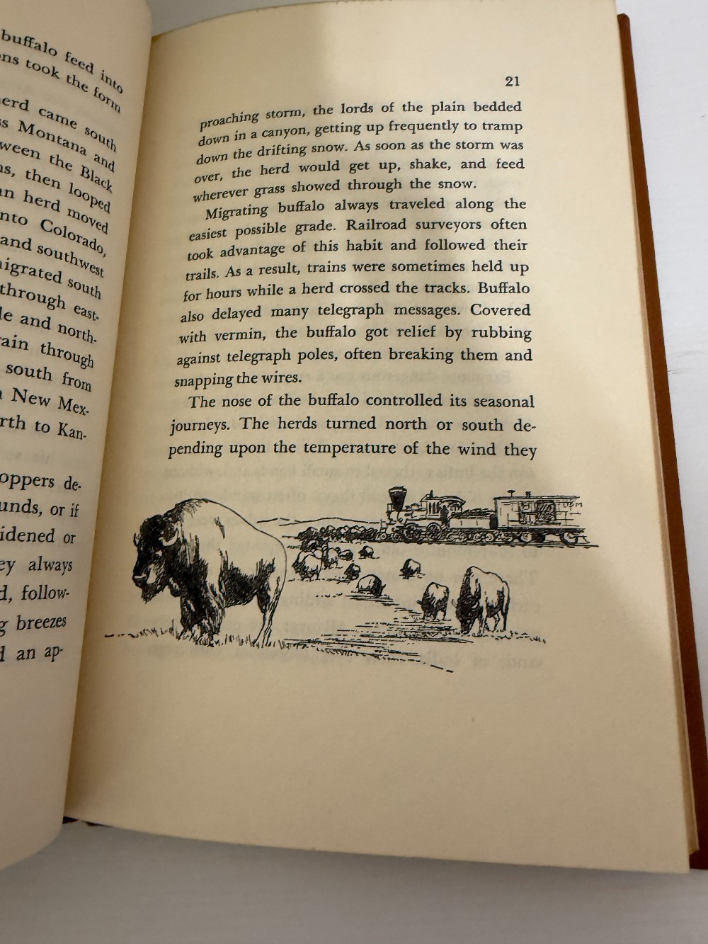 Strange Travelers Book