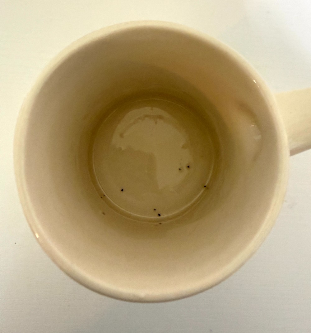 Souvenir Virginia state mug