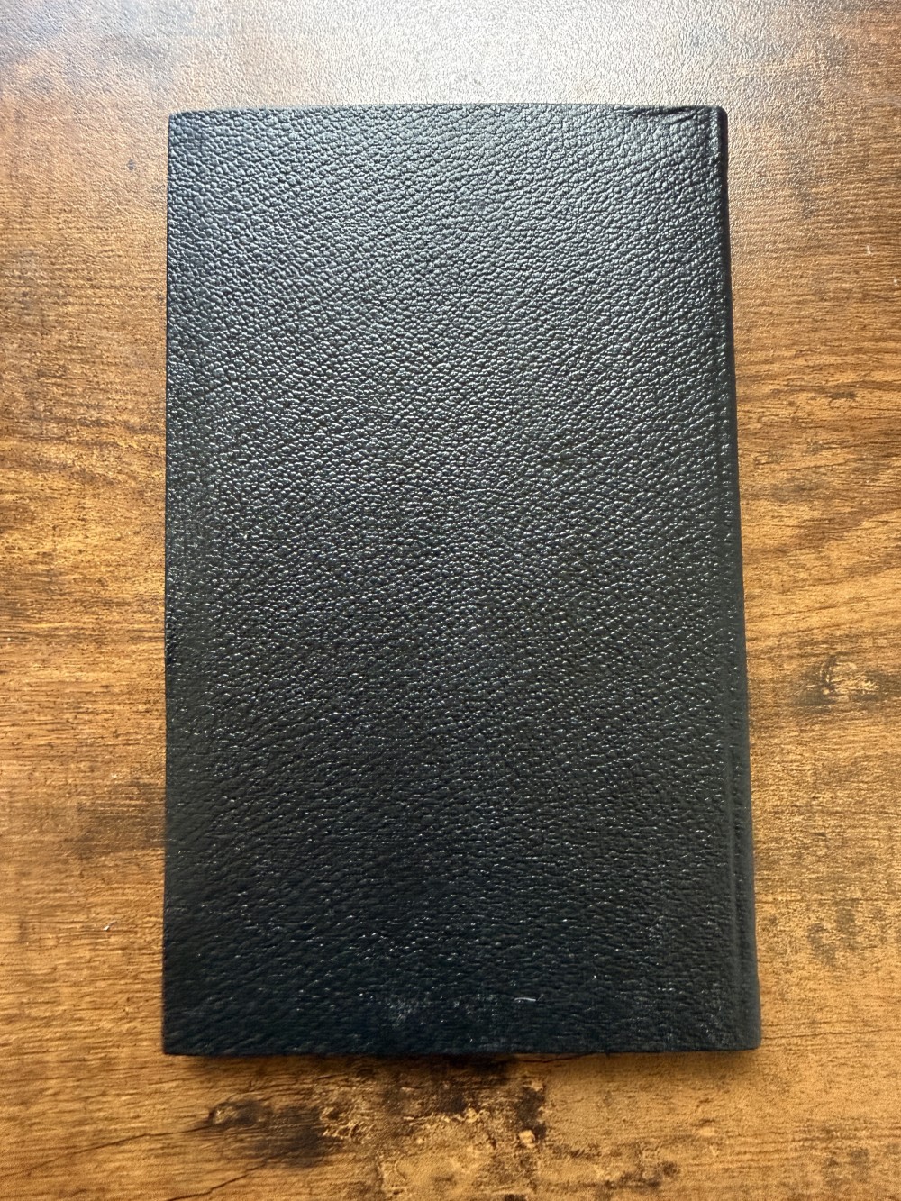 Merck’s 1899 Manual reproduction