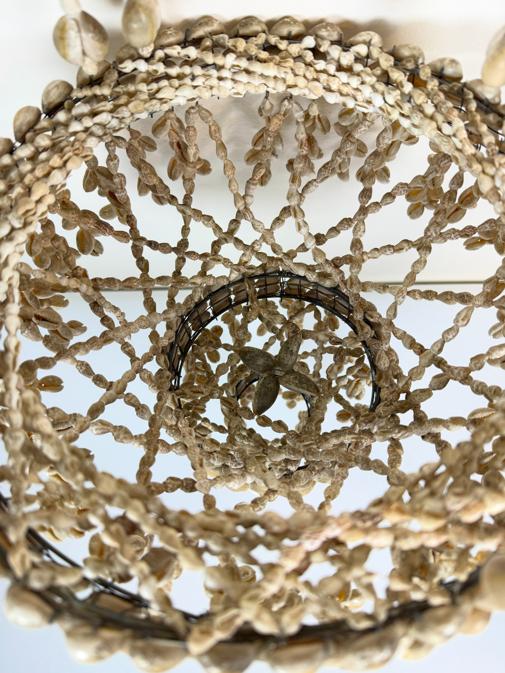 Seashell Hanging Planter