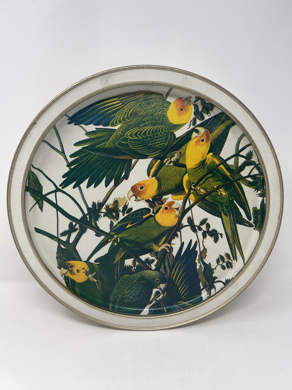 MCM Audubon's Tin Box - Carolina Parakeets & Pleated Woodpeckers