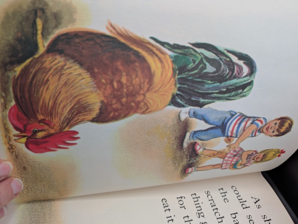 Vtg 1967 How Chicks Are Born hardcover book