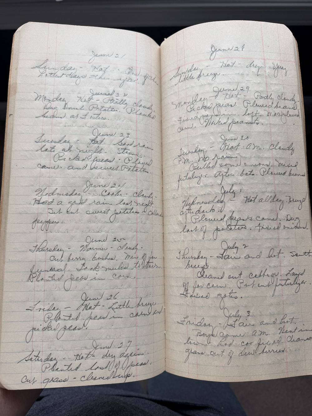 1930-1933  Handwritten Diary Farmer's Journal