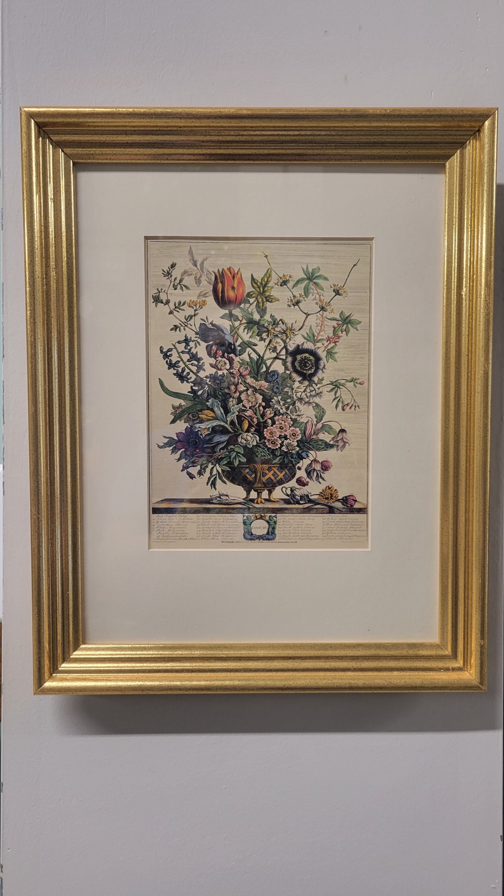February - Framed Botanical Print