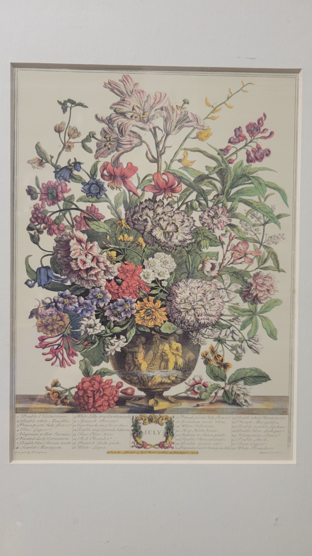 July - Framed Botanical Print