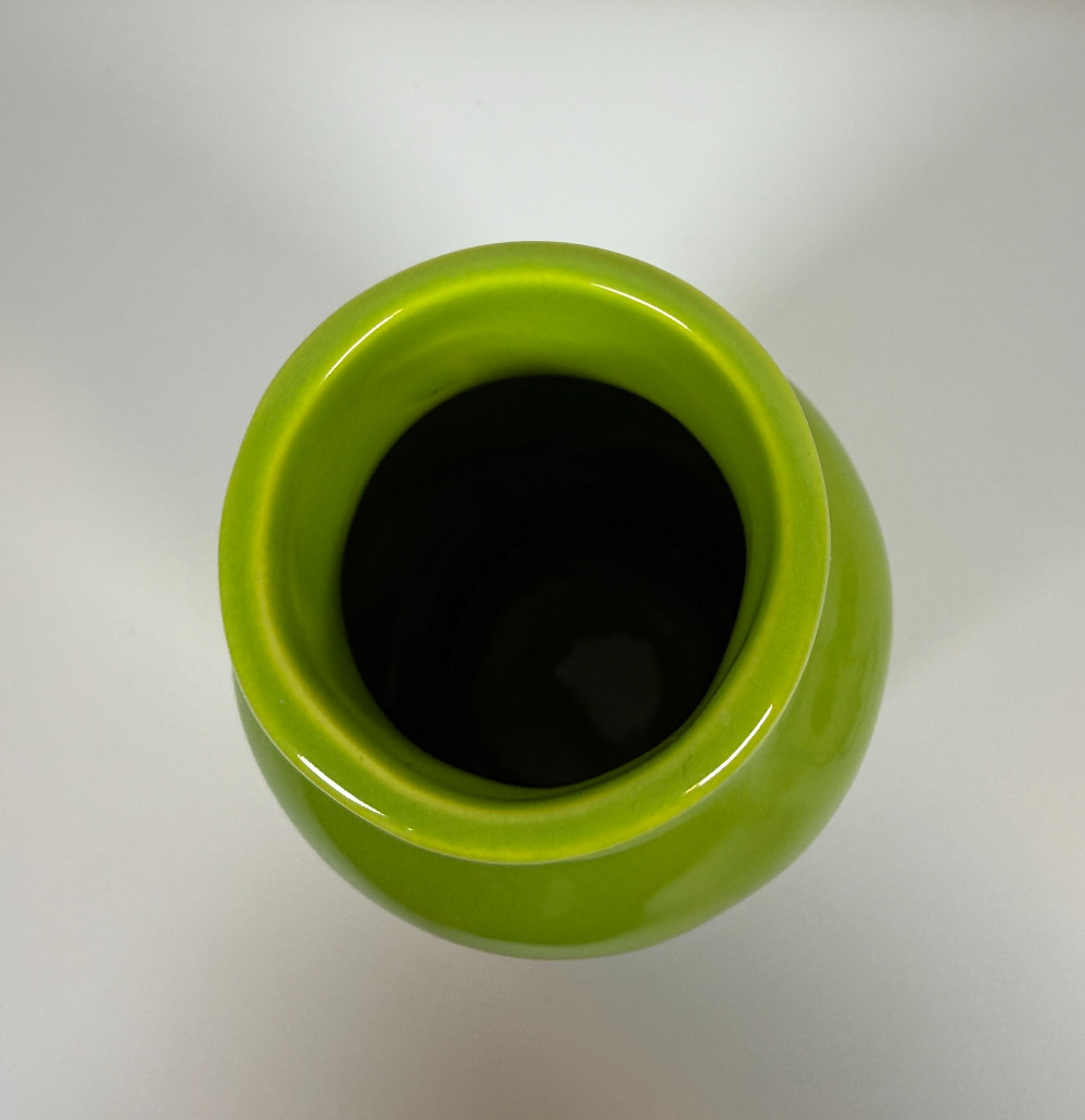 Rae Dunn Plant Life Vase
