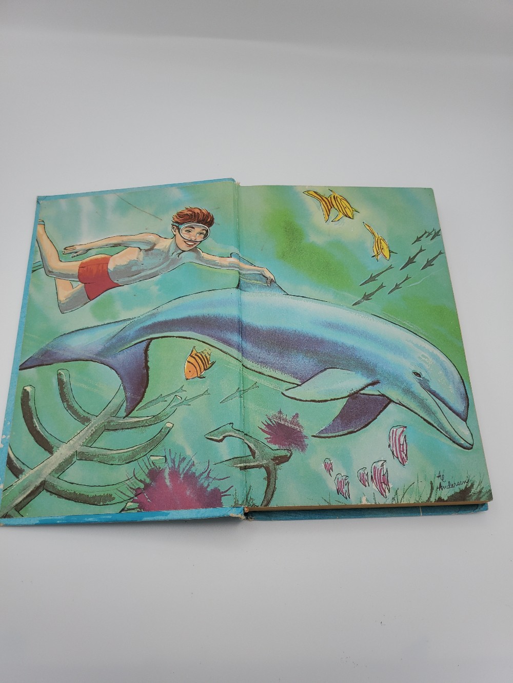 1966 Flipper The Mystery of the Black Schooner