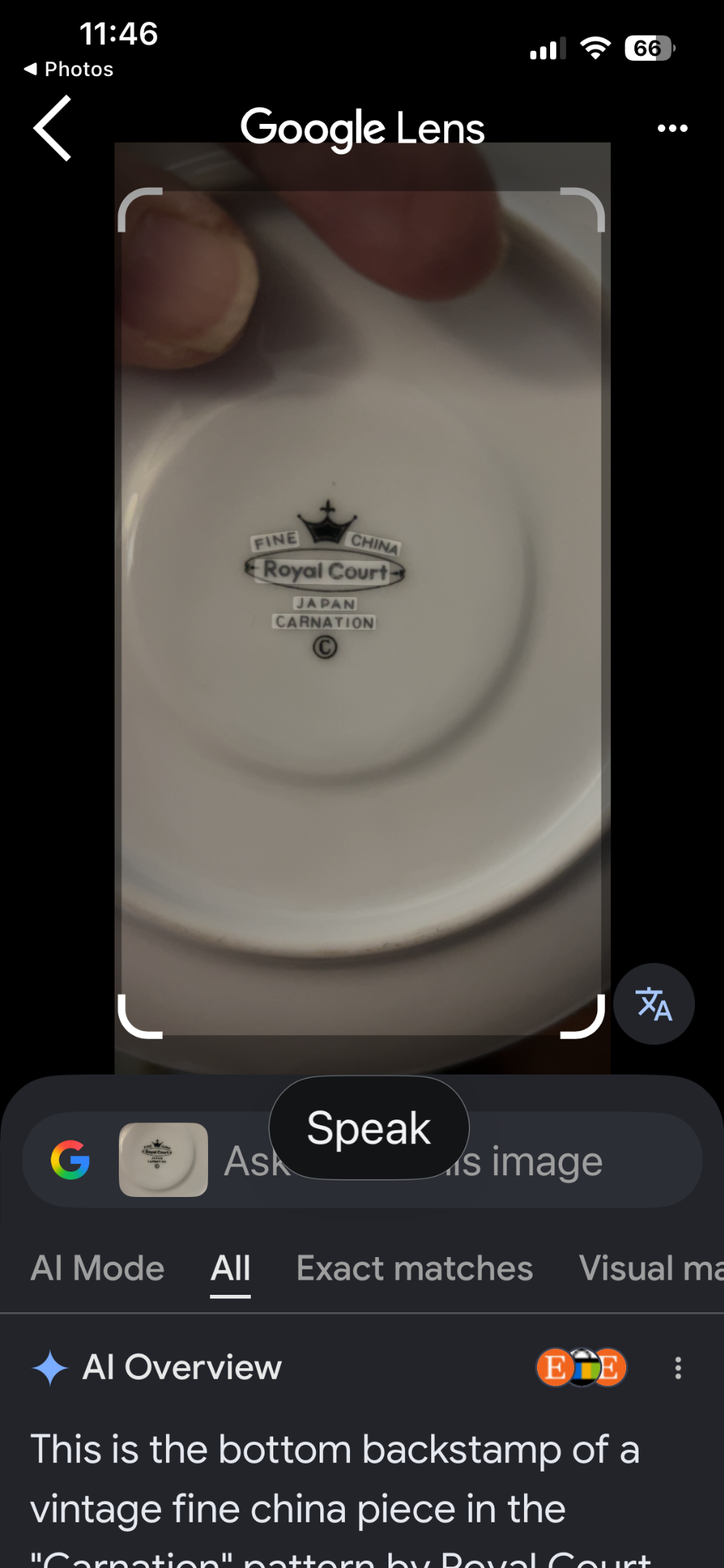 Bird feeder: The Royal Carnation Cafe Teacup/Saucer