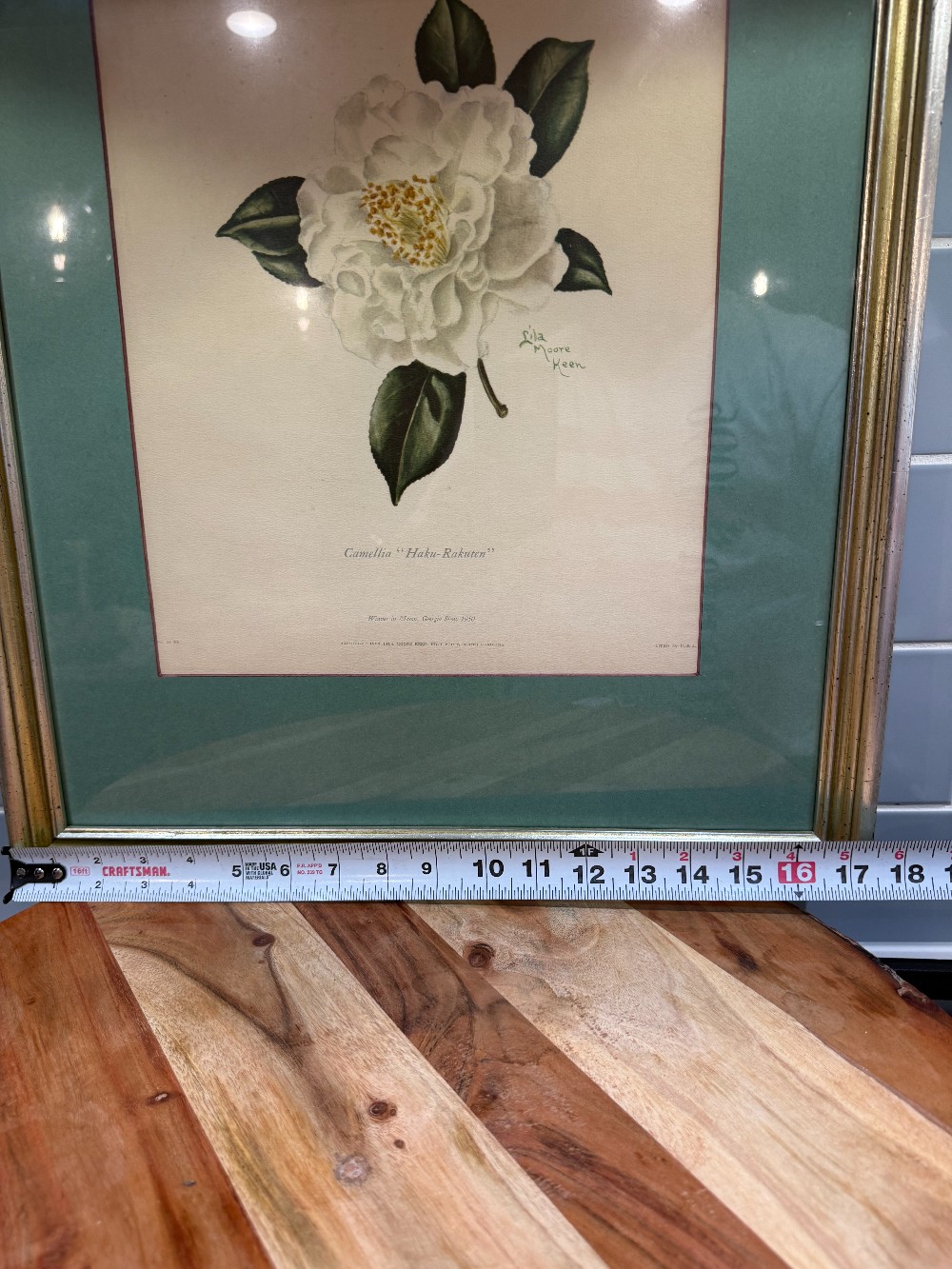 Vtg. Framed Lila Moore Keen Camellia Botanical Print