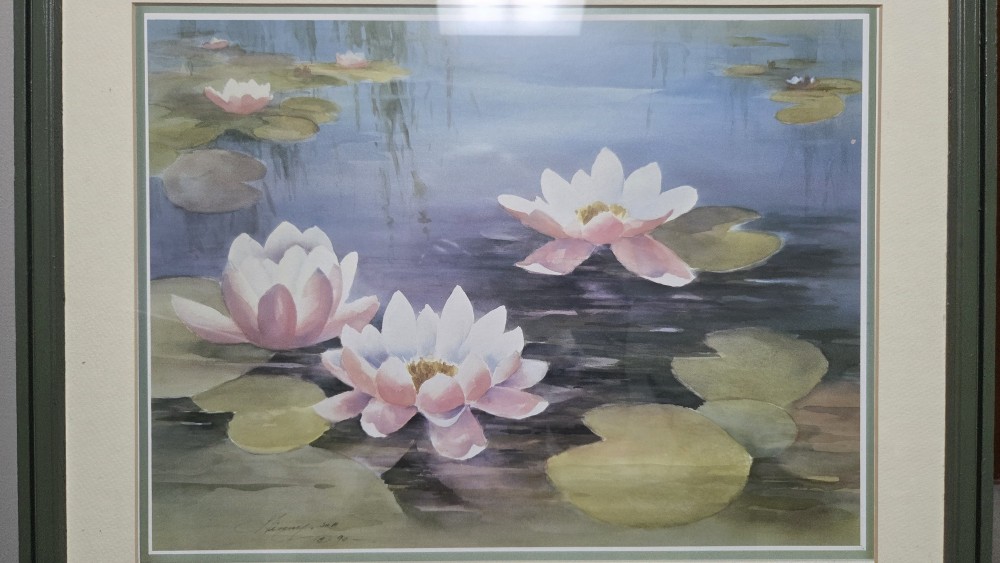 PMF-485 framed Waterlily print