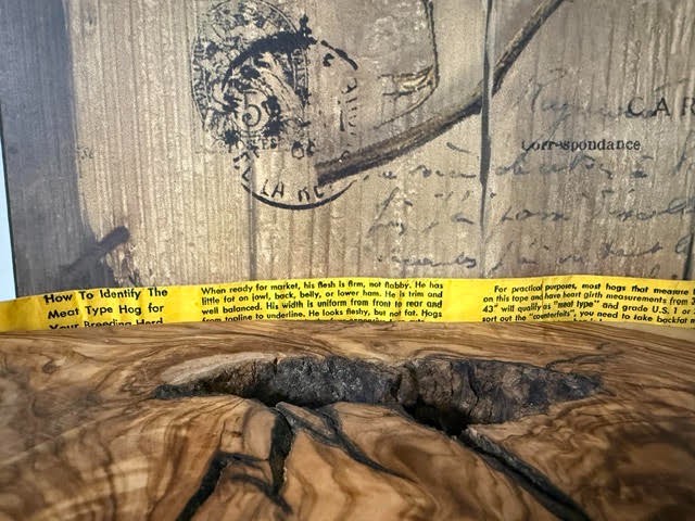 1960 Farm Hog Tape Measure Pig Swine Boar Sow Farmer