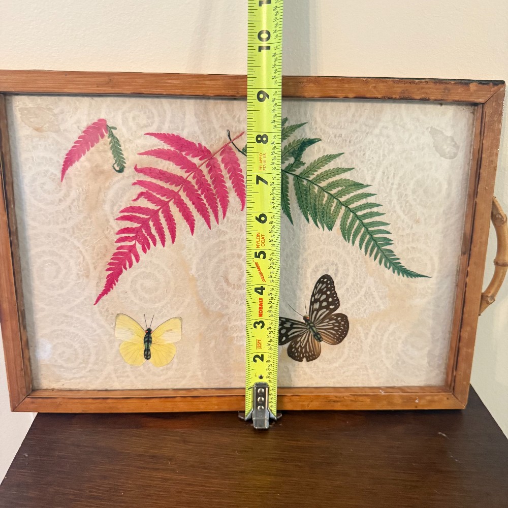 Butterfly and Fern Specimen Serving Tray with Bamboo Handles, 17