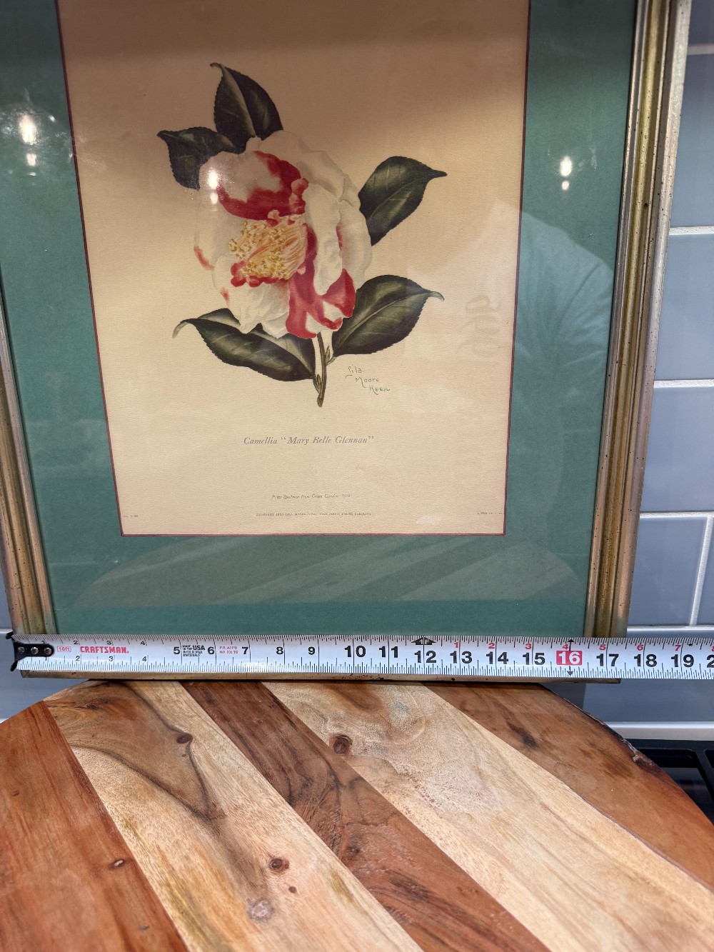 Vtg. Framed Lila Moore Keen Camellia Botanical Print
