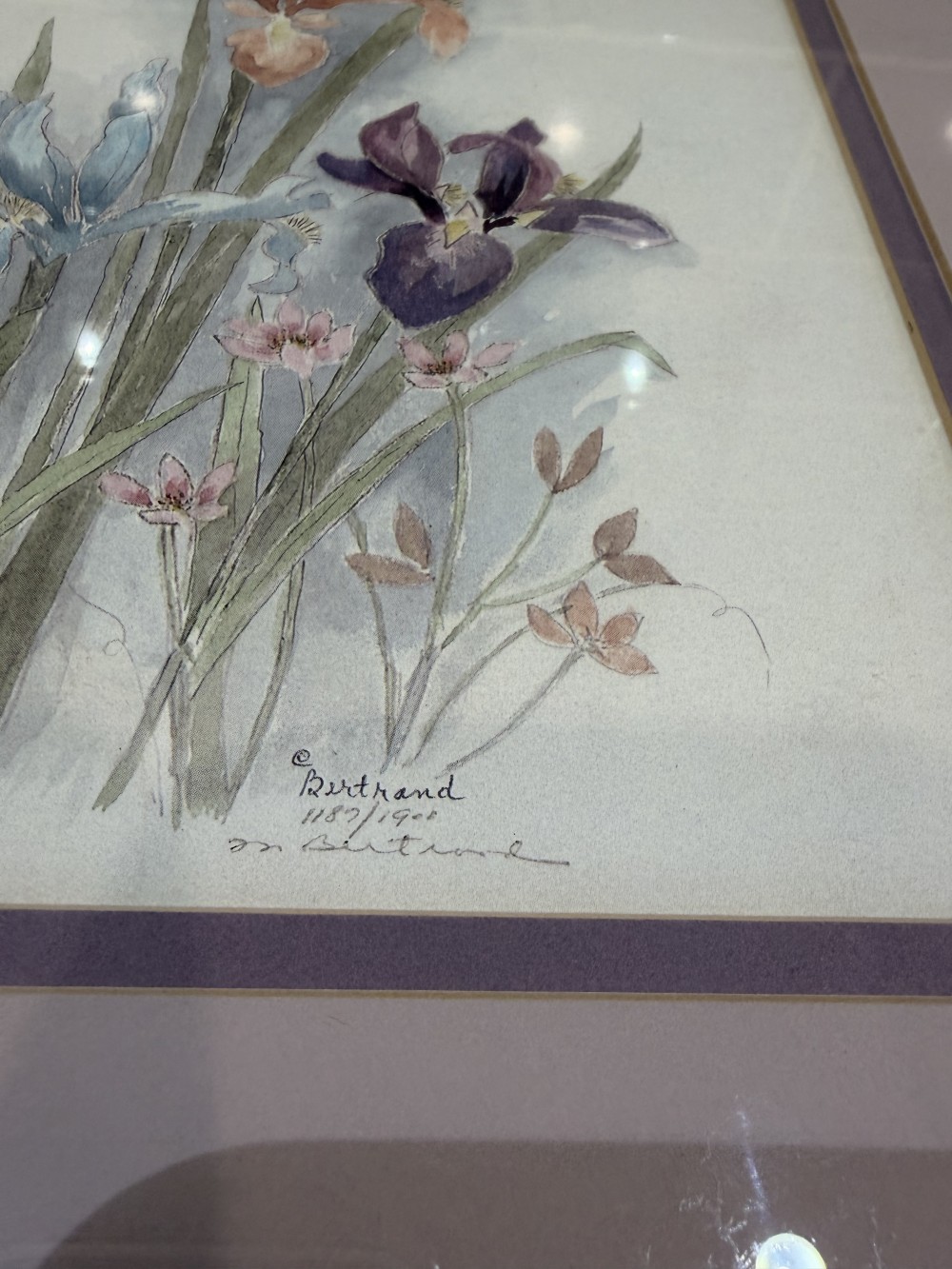 Vintage Framed Iris Floral Print