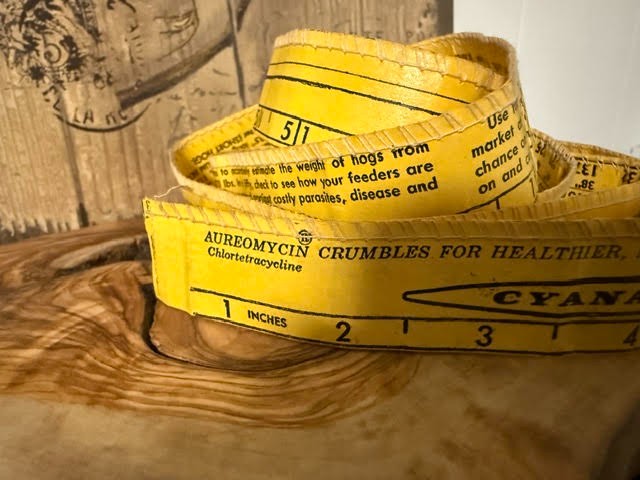 1960 Farm Hog Tape Measure Pig Swine Boar Sow Farmer