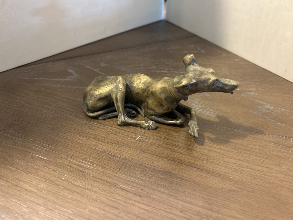 Brass Greyhound 6.5
