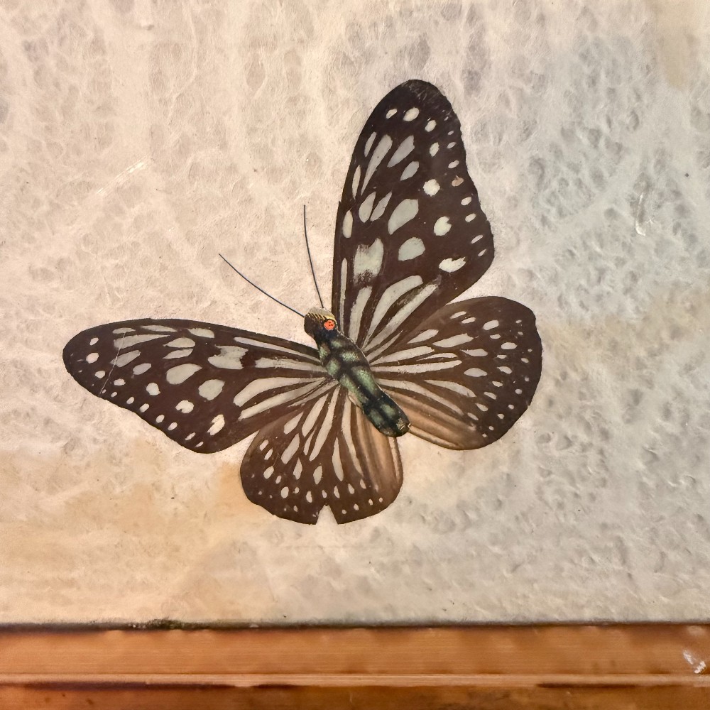 Butterfly and Fern Specimen Serving Tray with Bamboo Handles, 17