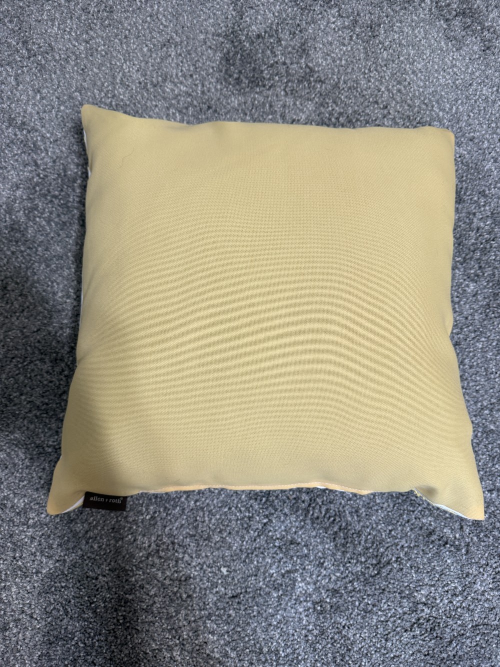 Allen & Roth throw pillow
