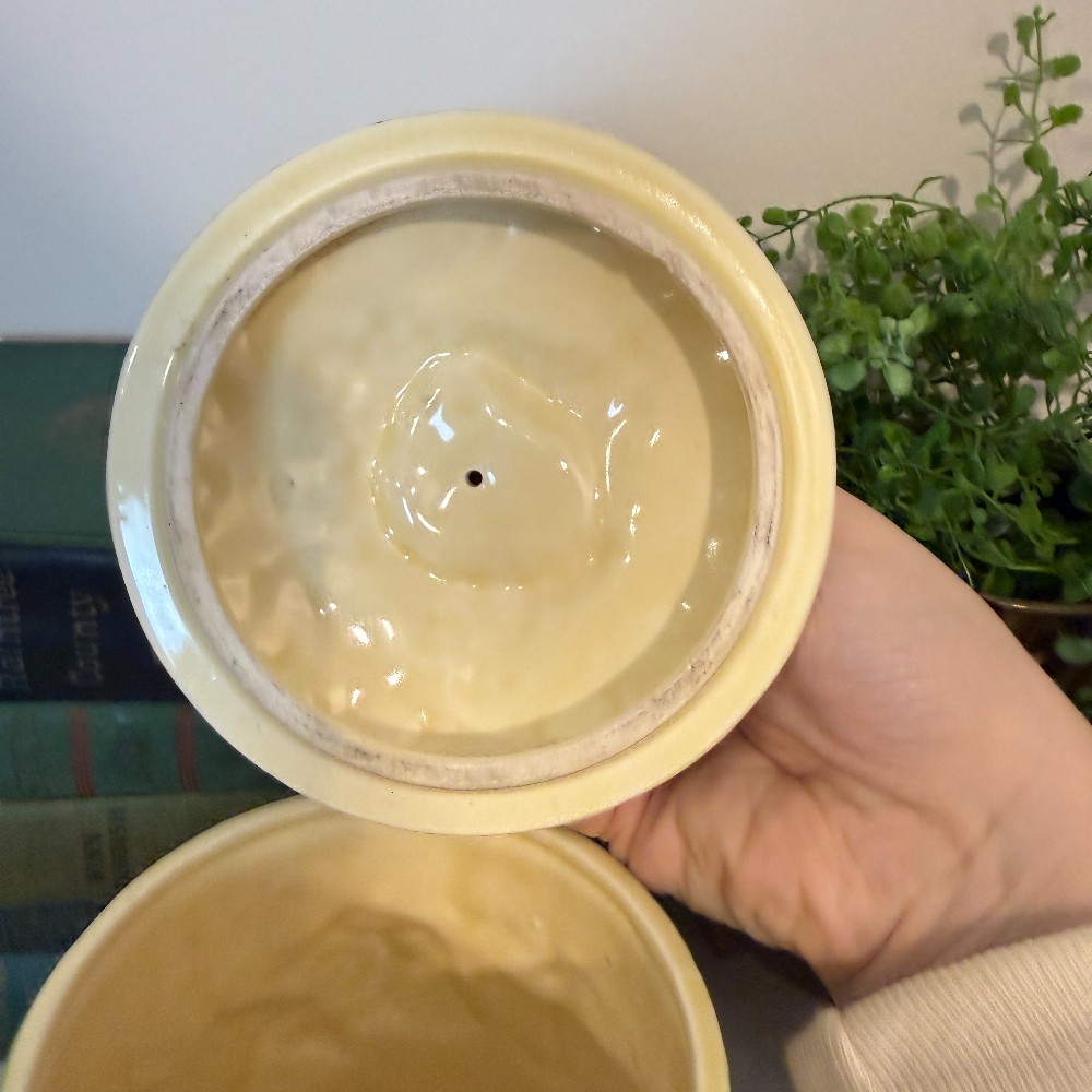 Ceramic Seashell Canister with Lid