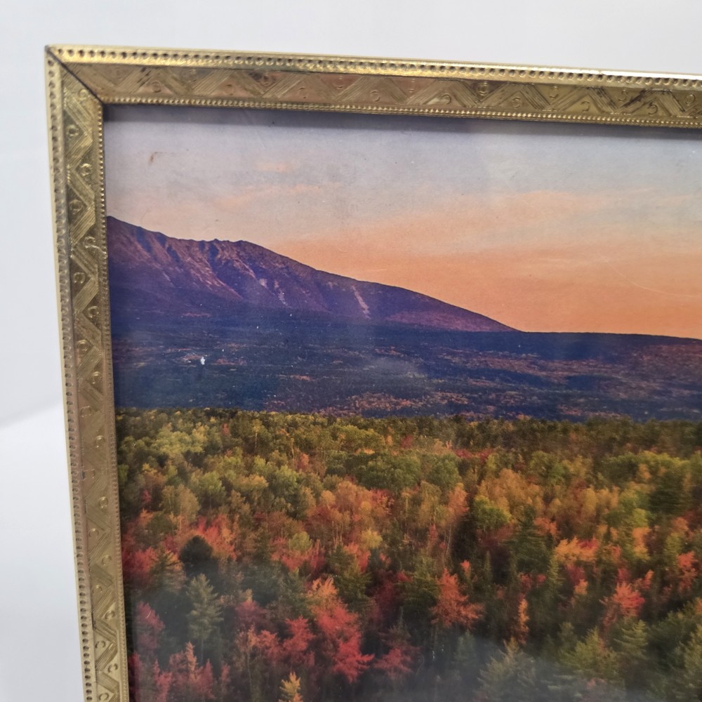 VTG 5x7 Ornate Brass Frame w/ Fall Scene